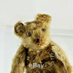 Antique Circa 1920's Steiff Honey Mohair Teddy Bear with Glass Eyes, No Button
