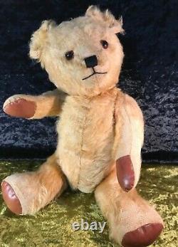 Antique Collectable Australian Lindee Golden Brown Jointed Teddy Bear 20 C1940
