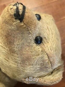 Antique Early Steiff Teddy Bear Blonde Mohair Disc Jointed Shoebutton Eyes