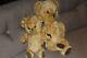 Antique English pedigree blond Mohair Teddy bear pair bells jointed