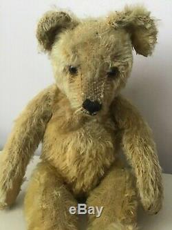 Antique German Mohair Teddy Bear By Steiff Circa 1920