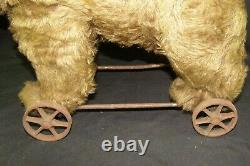 Antique Large 20 Long Possibly Steiff Mohair Teddy Bear On Wheels Pull or Sit