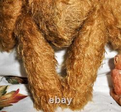 Antique Mohair Fully Jointed Teddy Bear Set 10 & 3 Glass Eyes Early Plush Toy