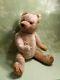 Antique Mohair STEIFF Teddy Bear 17, Growler, No ids, Germany