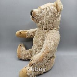 Antique Mohair Teddy Bear 14, Steiff