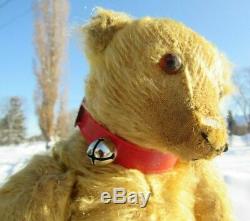 Antique Mohair Teddy Bear Rare Vintage Toy Red Paws Bell Collar Steiff Bing 14