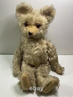 Antique Nice Early Moritz Pappe Bear Early 1900's Large Teddy Bear 20