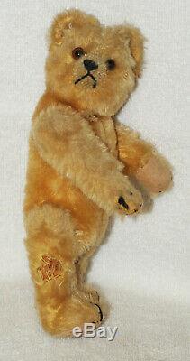 Antique Old Mohair Steiff Teddy Bear C. 1920 Rare 8 Inches