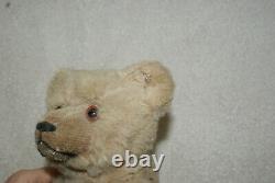 Antique Old Mohair Steiff White Teddy Bear C. 1920 Rare 10 Inches