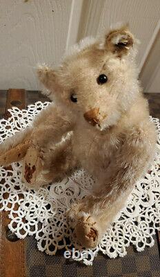 Antique Old Steiff Prewar Teddy Bear 9 White Mohair