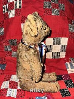 Antique Primitive Mohair Shoe Button Eye Jointed Teddy Bear