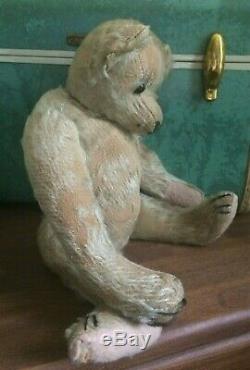 Antique Primitive Steiff Mohair Blond Teddy Bear Early 1900's Hump Back Jointed