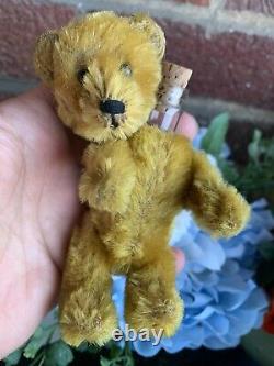 Antique Schuco Perfume Teddy Bear 5 Gold Mohair 1920s Orig Bottle With A Cork