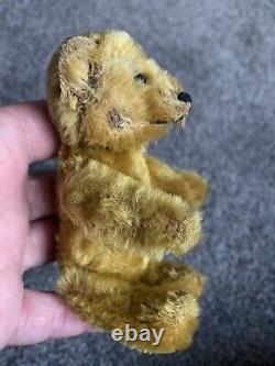 Antique Schuco Perfume Teddy Bear 5 Gold Mohair 1920s Orig Bottle With A Cork