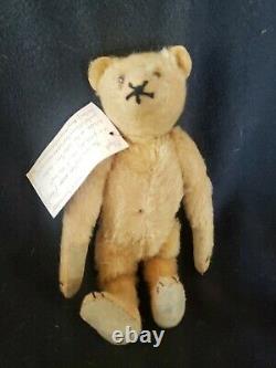 Antique Steiff 9 1/2 Mohair Teddy Bear with Glass Eyes & Note