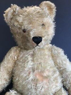 Antique Steiff Honey Blonde Mohair 25in Rare Teddy Bear