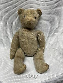 Antique Steiff Mohair Teddy Bear With Black Shoe Button Eyes