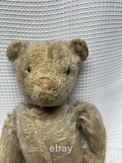 Antique Steiff Mohair Teddy Bear With Black Shoe Button Eyes