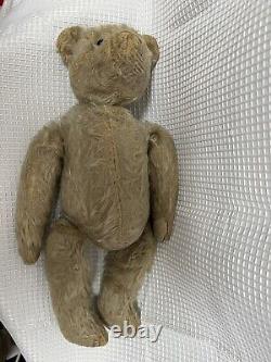 Antique Steiff Mohair Teddy Bear With Black Shoe Button Eyes