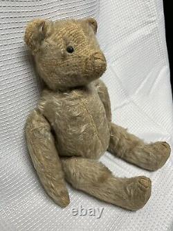 Antique Steiff Mohair Teddy Bear With Black Shoe Button Eyes