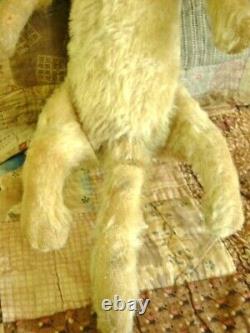 Antique Steiff Teddy Cat Katze