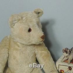 Antique Steiff White Mohair Teddy Bear 1920's with FF-button