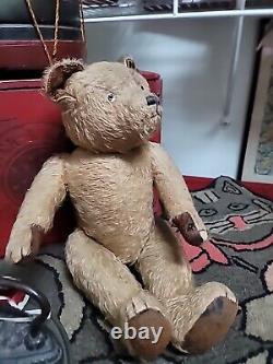 Antique Teddy Bear 1920s Mohair Glass Eyes Costume Hump Excelsior Long Snout