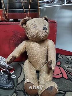 Antique Teddy Bear 1920s Mohair Glass Eyes Costume Hump Excelsior Long Snout