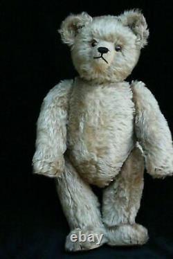 Antique Teddy Bear Schuco Schreyer Yes No Teddy Bear 20 mechanical & Steiff Cat