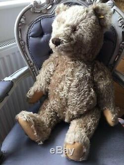 Antique Vintage 1950s Steiff Teddy Bear Large 25 Hump Back Jointed Mohair