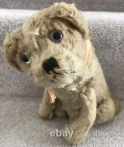 Antique Vintage Steiff Molly Mohair Dog Soft Toy Teddy Bear Friend Germany 1930s