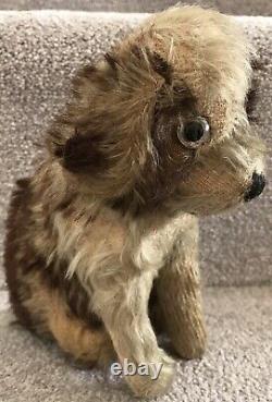 Antique Vintage Steiff Molly Type Mohair Dog Soft Toy Teddy Bear Friend 1930s