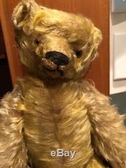 Antique bing Teddy Bear Golden Long Mohair Circa1900