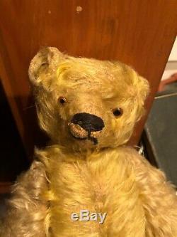 Antique bing Teddy Bear Golden Long Mohair Circa1900