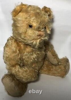 Antique golden mohair teddy bear jointed hump 1920's