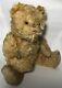 Antique golden mohair teddy bear jointed hump 1920's