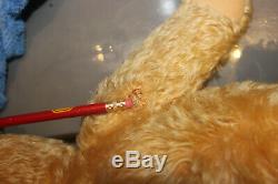 Antique steiff teddy bear, mohair, 20 inches long, squeaker works, wood wool fil