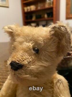 Antique teddy bear lush mohair 5 way jointed 1904- 08