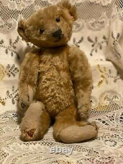 Believe Vintage Steiff 12 Mohair Straw Filled Teddy Bear no Button no reserve