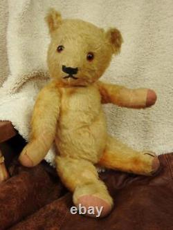 Chad Valley 1930 Label 16 1/2 Mohair Magna Teddy Bear Nero Glass Eyes