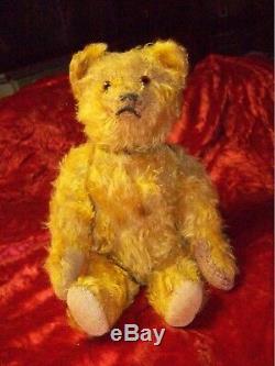 Charming Antique Mohair 14 inch 1920's Schuco Teddy Bear