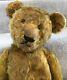 Early 20th Century Antique Golden Mohair Boot Button Eye Teddy Bear British 20
