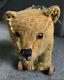 Early 8 Antique Steiff Teddy Bear Pull Toy Wooden Wheels Mohair Long f Button