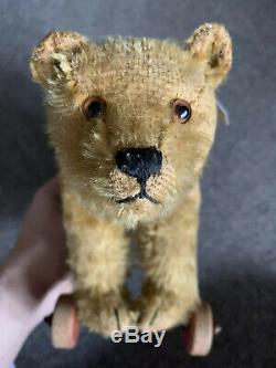 Early 8 Antique Steiff Teddy Bear Pull Toy Wooden Wheels Mohair Long f Button