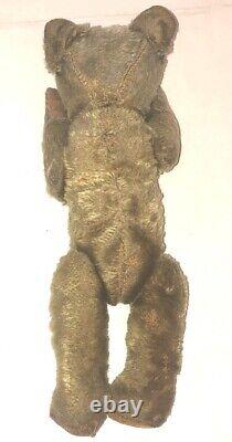 Early Antique Baby Bear Beige Mohair Teddy From English Museum Beautiful Bib Pin