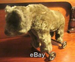 Early Blank Button Antique Steiff Mohair Rare Teddy Bear on Metal Wheels