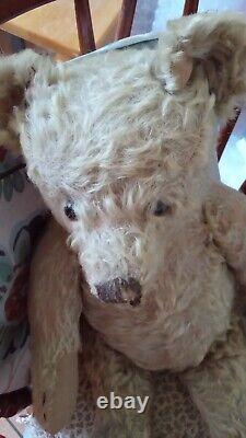 Early Blonde Mohair Steiff Humpback Jointed 20-in Teddy Bear