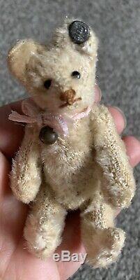 Early Rare Antique 3.5 Steiff Miniature Mini Mohair Teddy Bear White Ff Button