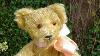 Ebay Unboxing An Early Antique American Mohair Gund Teddy Bear