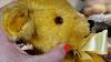 Ebay Unboxing Antique 1930s 1940s English Mohair Teddy Bear
